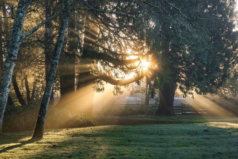 Codice a barre sbiadito causato da Sunlight.jpg