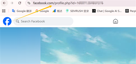 link profilo facebook